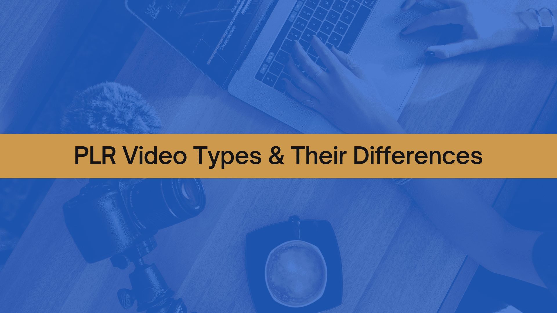 PLRVD PLR Video Types and Their Differences