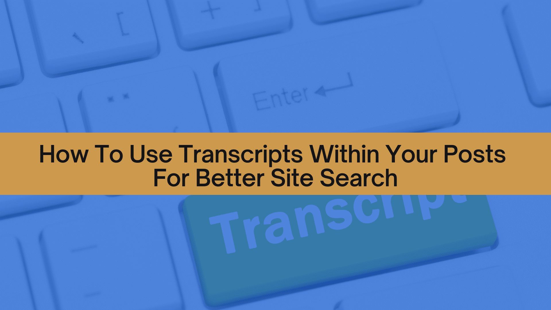PLRVD how to use transcripts for better site search