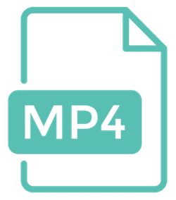 WordPress eCommerce green-mp4 icon image
